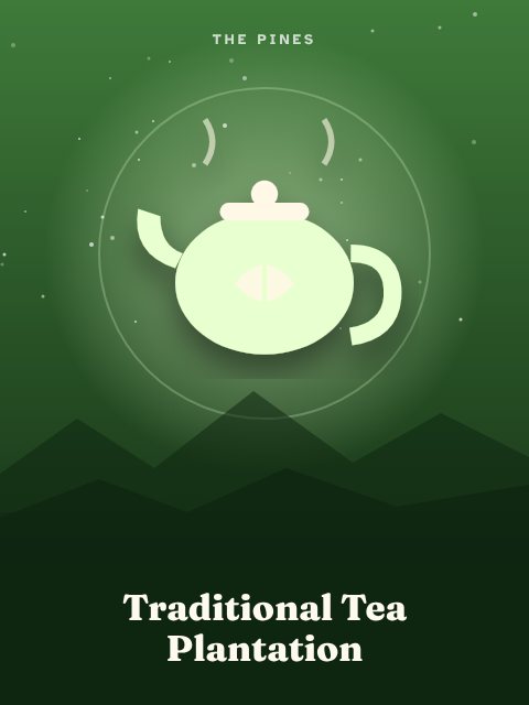 Traditional Tea Plantation
